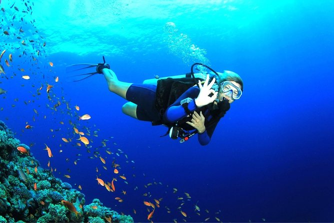 Dive at Tulamben Bali USS Liberty Ship Wreck - Transfers from Ubud, Candidasa, and south Bali: what to expect