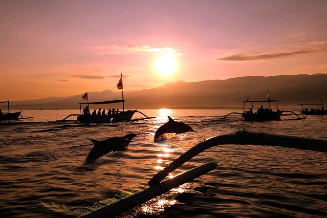 Dolphin Tour and Sunrise Watching in Lovina Beach - All Inclusive - Key points before you go