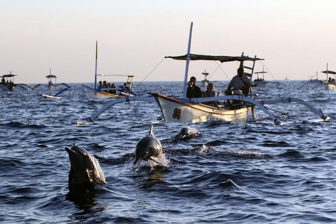 Dolphin Tour and Sunrise Watching in Lovina Beach - All Inclusive - Lovina’s Sunrise Dolphins: The point of the whole trip