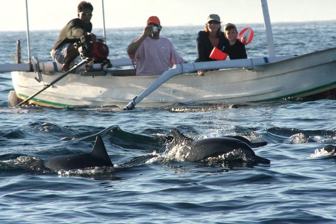 Dolphin Tour and Sunrise Watching in Lovina Beach - All Inclusive - Breakfast at Coffee Nosky: Fueling up after the sea