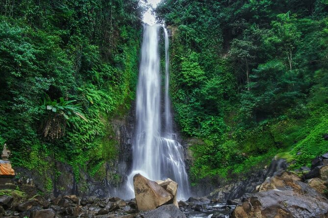 Dolphin Tour and Sunrise Watching in Lovina Beach - All Inclusive - Wanagiri Hidden Hills swing: Lake Buyan views you’ll want to plan for