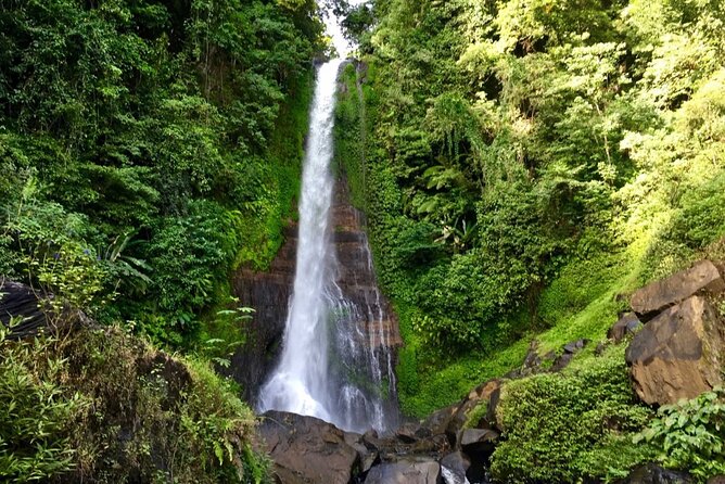Dolphin Tour and Sunrise Watching in Lovina Beach - All Inclusive - Optional upgrades: Waterfall and temple stops that add variety