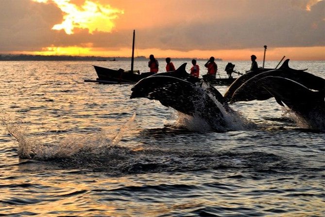 Dolphin Tour and Sunrise Watching in Lovina Beach - All Inclusive - The early-morning pickup: How to sleep, dress, and avoid misery