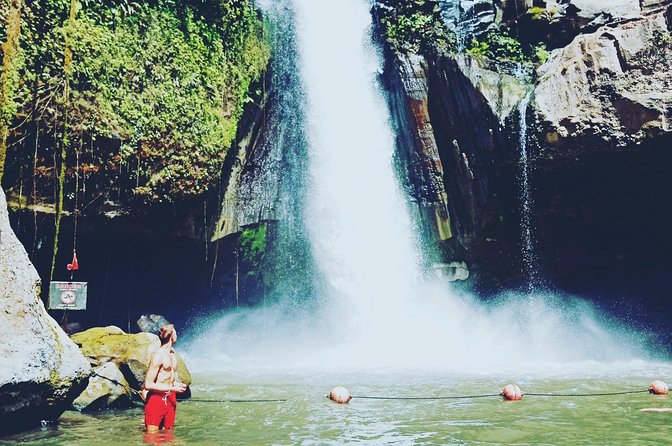 Exclusive Ubud Day Tour - Key highlights to know before you go