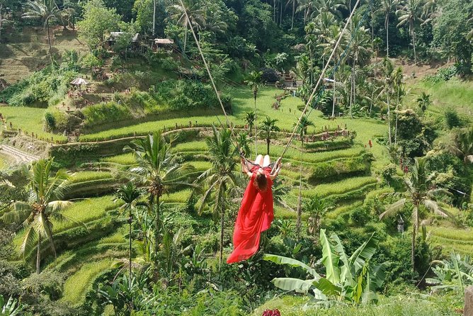 Exclusive Ubud Day Tour - Starting at 8:00 from Seminyak: what this private day tour really feels like