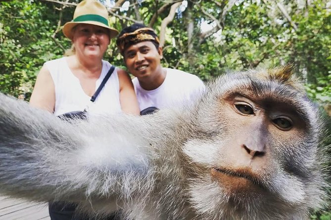 Exclusive Ubud Day Tour - Satria Coffee Plantation: the Luwak coffee story and your tasting options
