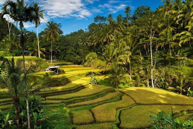 Exploring Bali in 3 Days: Discover Top Places in Bali - Key Highlights You Get (Even With Limited Time)