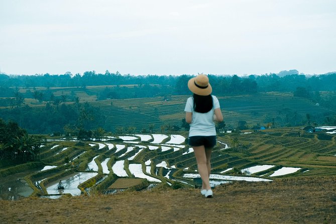 Fascinating UNESCO Site Tour in Bali - Stop 1: Taman Ayun Temple and the moat you can’t always walk into