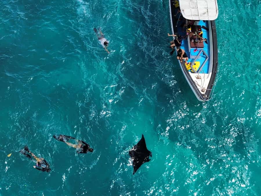 From Bali: Nusa Penida 3 Spots Snorkeling Tour With Guide - FAQ