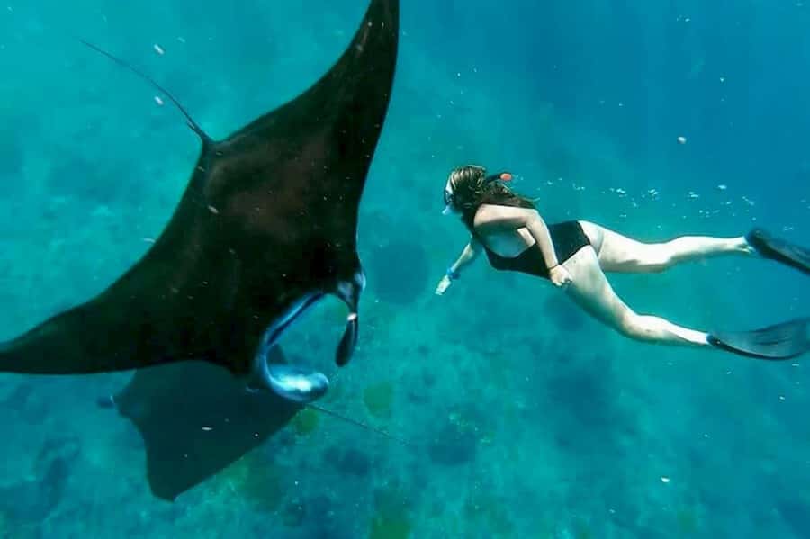From Bali: Nusa Penida 3 Spots Snorkeling Tour With Guide - From Bali to Nusa Penida: transfers, waiting, and how to handle it