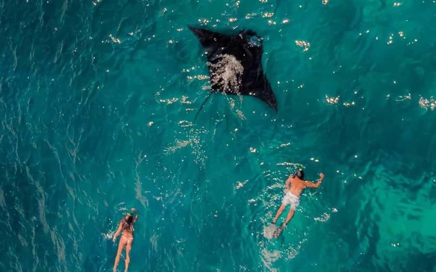 From Bali: Nusa Penida 3 Spots Snorkeling Tour With Guide - Price and value: why $18 can still make sense