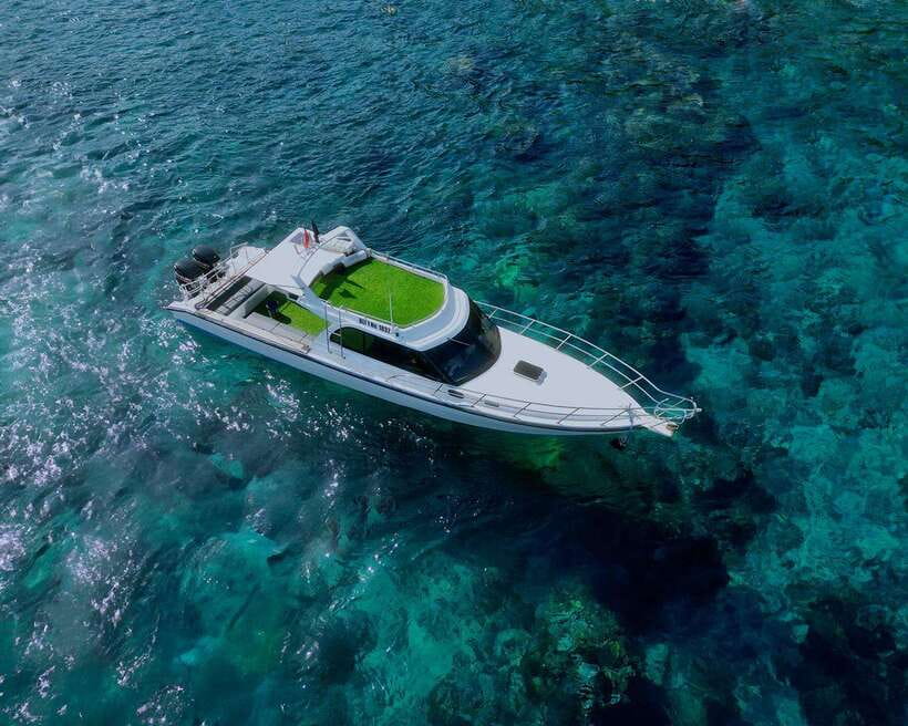 From Bali: Nusa Penida Private Snorkeling Tour with Lunch - SD Point and Wall Bay: Clear Water Equals Better Reef Watching