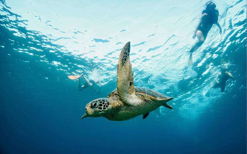 From Bali: Nusa Penida Private Snorkeling Tour with Lunch - Price and What $91 Really Buys
