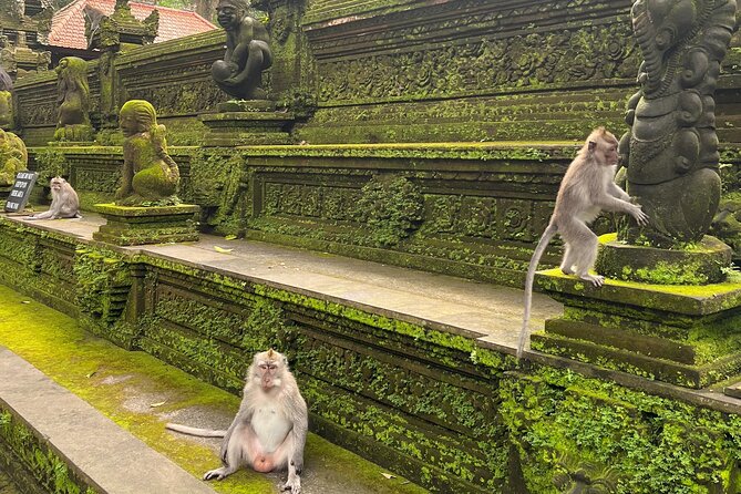 Full Day Best of Ubud Private Tour - Tirta Empul Temple: holy spring rituals and one important rule