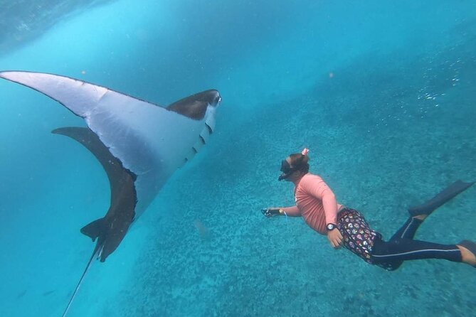Full Day Nusa Penida Manta Point Snorkeling and West Island Tour - Price Breakdown for $43: What’s Included (and Why It Matters)