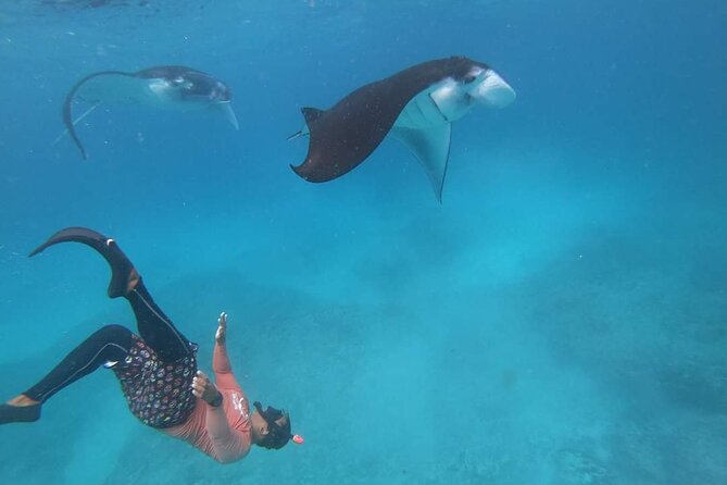 Full Day Nusa Penida Manta Point Snorkeling and West Island Tour - Comfort, Lunch, and the Little Things That Keep the Day Smooth