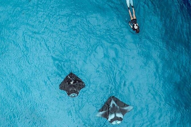 Full Day Nusa Penida Manta Point Snorkeling and West Island Tour - Should You Book This Full-Day Nusa Penida Tour?