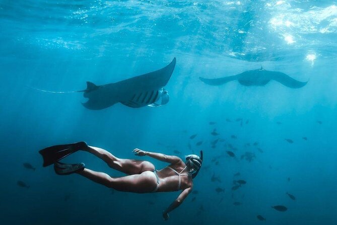 Full Day Nusa Penida Manta Point Snorkeling and West Island Tour - From Seminyak to Sanur to Penida: Timing You Should Expect