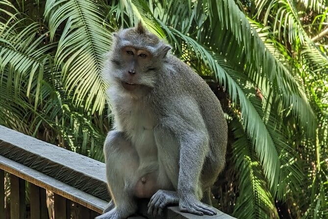 Full Day Private Tour to Ubud Waterfall and Uluwatu Sunset - A Full Day Circuit From Seminyak: What 9 Hours Really Feels Like