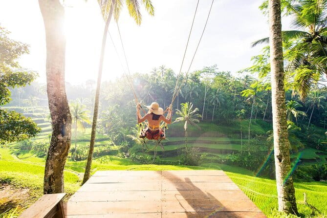 Full Day Private Tour to Ubud Waterfall and Uluwatu Sunset - Ubud Lunch Break: Indonesian Food With Vegetarian Options