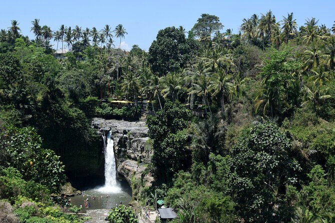 Full day Tour to Best of Ubud with jungle swing - How long the day will feel: 8 to 10 hours of smart pacing