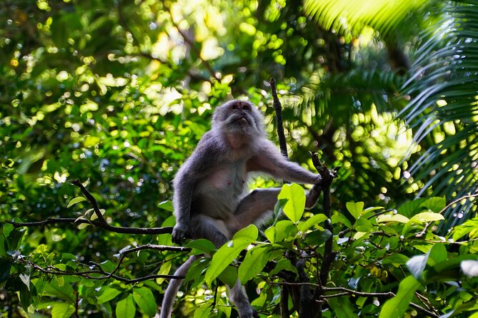 Full Day – Ubud Art Village and Mount Batur Kintamani with Lunch - Tegalalang rice terraces and Subak: why this view is more than a photo