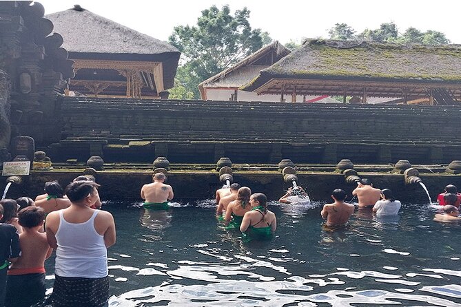Full Day Ubud Tour - Price and value: what $95 buys, and what you still have to cover