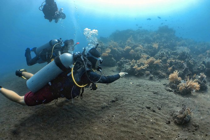Fun Diving Tulamben Bali - For Certified Divers - USAT Liberty: The WWII wreck you can reach without a huge commute