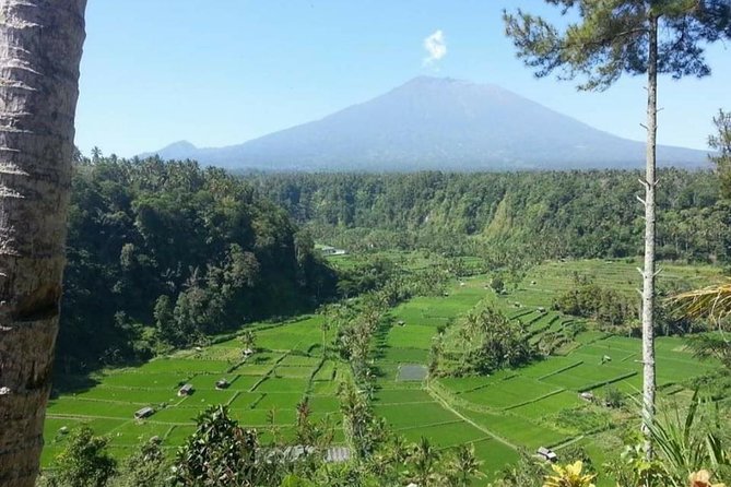 Gate Heaven Lempuyang Tirta Gangga East Bali Private Guided Tour - Where pickup/drop-off helps you (and which parts you should plan yourself)