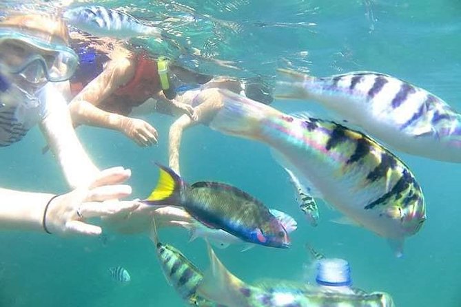 Gate Heaven Tirta Gangga With Snorkeling Private Guided Tour - A 10-hour Bali run with real pickup and timed stops