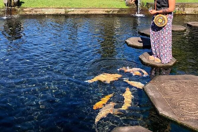 Gate of Heaven Tour With Guide : All-Inclusive Best Experience - Wapa di Ume Sidemen: lunch at Sleeping Gajah plus river and infinity pool time