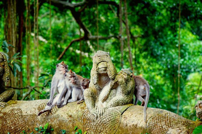 Goa Gajah / Elephant Cave Temple And Ubud Tour - All Inclusive - One Ubud Day, No Guessing: How This Tour Keeps You Moving