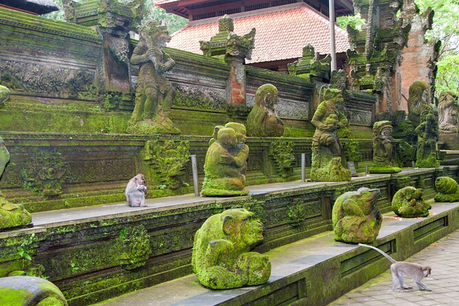 Goa Gajah / Elephant Cave Temple And Ubud Tour - All Inclusive - Ulu Petanu Waterfall: A Cooler Pause for Relaxation and a Swim Option