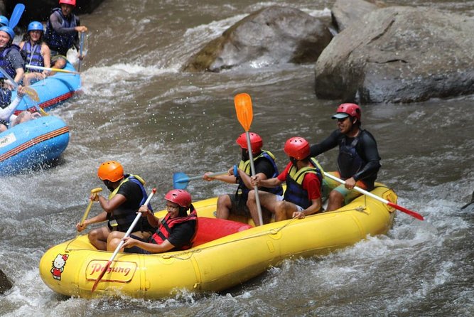 Green Bali Rafting Ticket And Transfer - Entering the rapids: what your 2-hour Ayung River ride is like