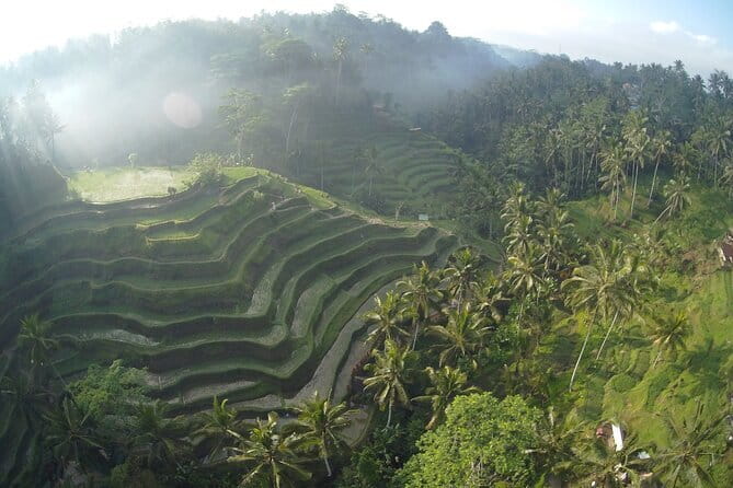 Hidden North Waterfall Bali All inclusive - Stop 2: Banyumala Twin Waterfalls and the payoff of a short trek