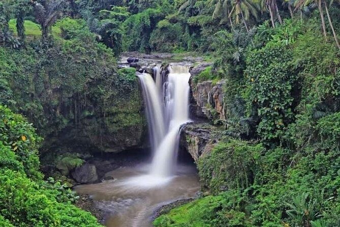 Hidden Ubud: Waterfalls & Sacred Temples - Cooling Off at Tegenungan or Ulun Petanu Waterfall