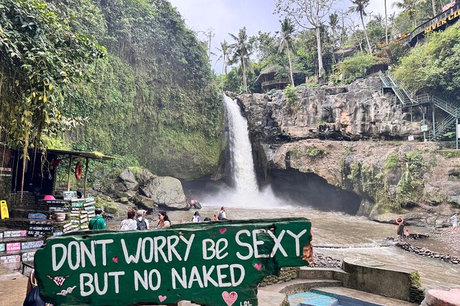Hidden Ubud: Waterfalls & Sacred Temples - Art Village Time: Wood Carving, Painting, and Silver Workshops