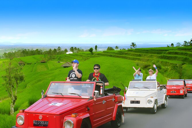 Jatiluwih VW Safari Bali Tour - Volkswagen Classic Car Trip - A classic open-top VW Safari day beats a normal bus tour