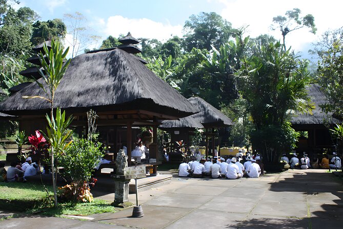 Jatiluwih VW Safari Bali Tour - Volkswagen Classic Car Trip - Stop 3: Jatiluwih rice terraces at 700 meters—UNESCO scale in real life