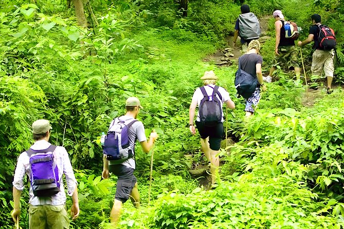 Jungle Trekking and Tamblingan Lake Canoeing in Bali Rainforest - Jungle Trek Meets Tamblingan Lake Canoeing