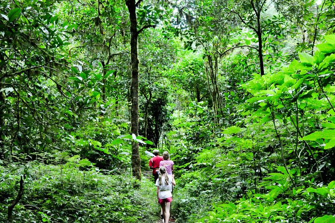Jungle Trekking and Tamblingan Lake Canoeing in Bali Rainforest - Weather, Rescheduling, and When This Tour May Move