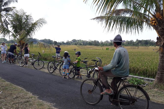 Kaba Kaba Reason for Harmony Cycling - Key highlights to know before you go