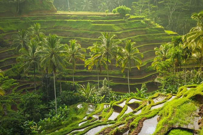 Lempuyang Temple and Bali Instagramable Tour - Terrace River Pool Swing: thrill time plus bird-nest photo breaks