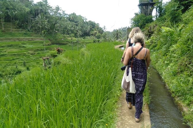 Magic Of Ubud Temple Swing And Waterfall Private Guided Tour - Tegalalang Rice Terrace: the view stop that anchors the day