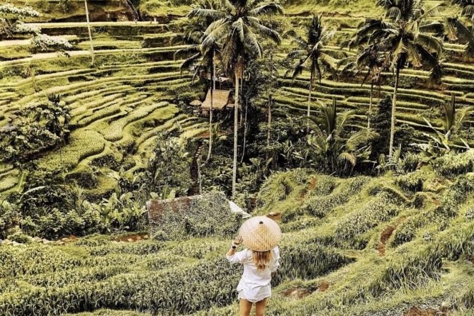 Magical Ubud Rice Terrace Tour (Private & All-Inclusive) - Lunch: a real reset before the temple