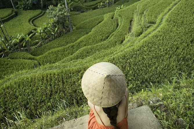 Magical Ubud Rice Terrace Tour (Private & All-Inclusive) - Stop 3: Tirta Empul Temple and the 13 fountains ritual