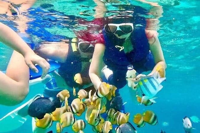 Monkey Bar and snorkling adventure at blue lagoon. - Blue Lagoon snorkeling: why the private-boat setup matters