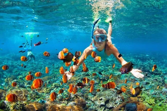 Monkey Bar and snorkling adventure at blue lagoon. - Transport, WiFi, and timing: how the 7-hour day is paced