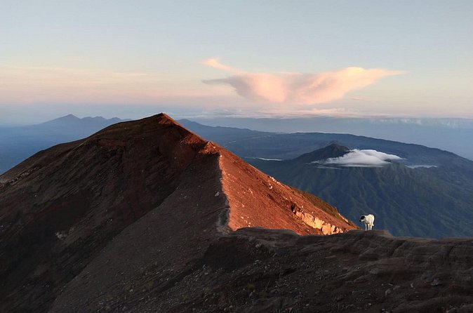Mount Batur Sunrise Trekking, Hot Springs & Lunch at Restaurant - Private Pickup, Private Group: How the Day Flows