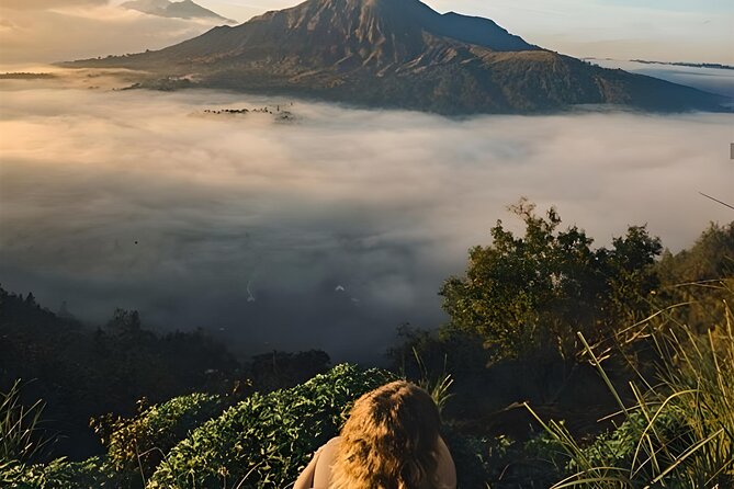 Mount Batur Sunrise Trekking with Natural Hot Spring - The Bali coffee plantation stop: a calmer way to end the day